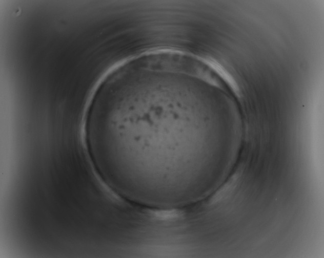 X0000093171189200710031458