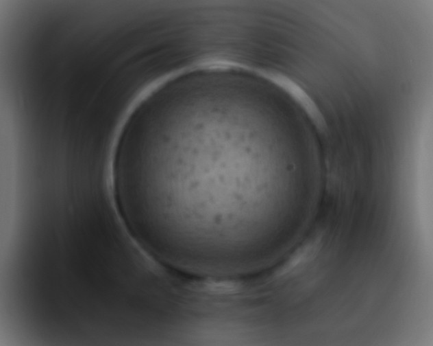 X0000093171191200710031458
