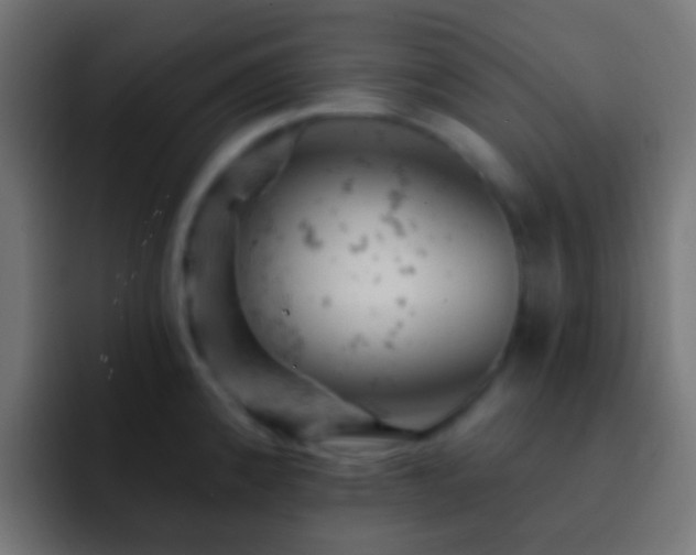 X0000093171192200710031458
