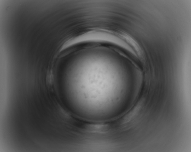 X0000093171193200710031458