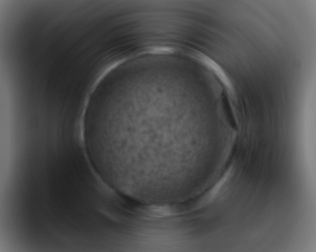 X0000093171194200710031458