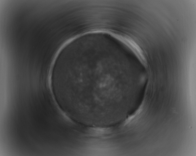 X0000093171197200710031458