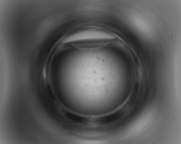 X0000093171198200710031458