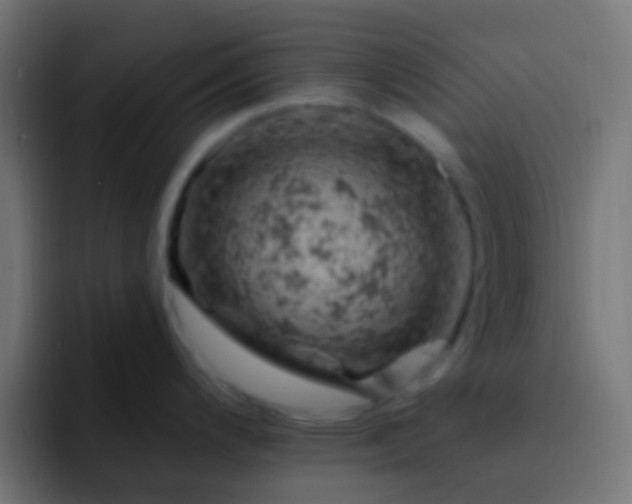X0000093171200200710031458