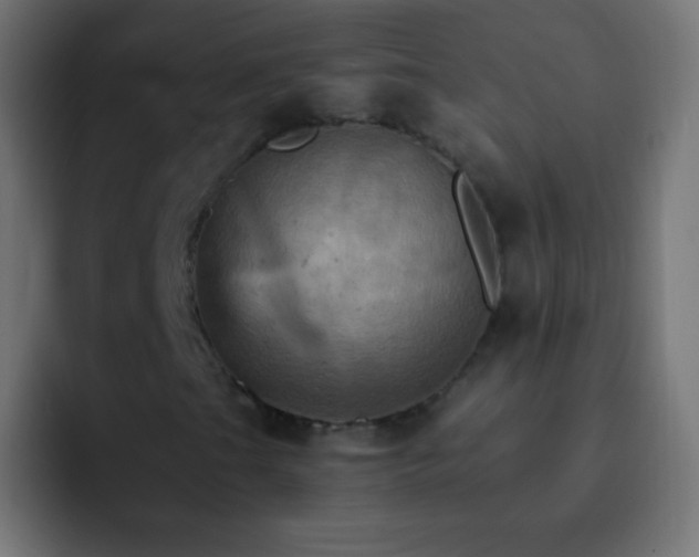 X0000093171201200710031457