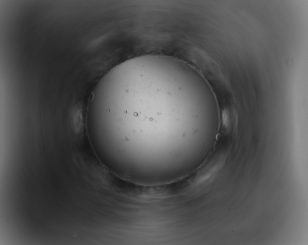 X0000093171203200710031457