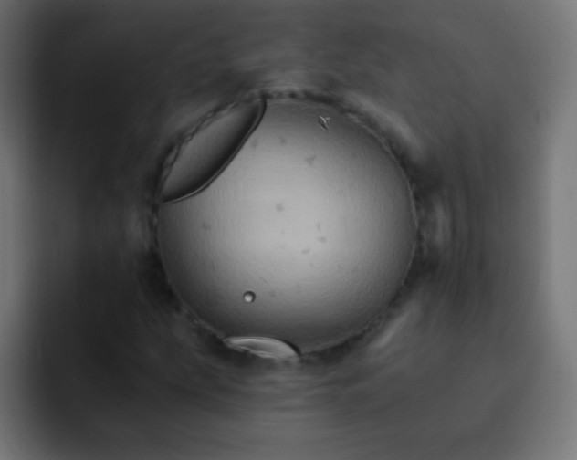X0000093171207200710031458