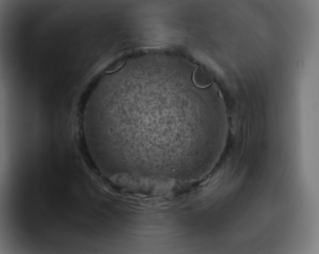 X0000093171208200710031458