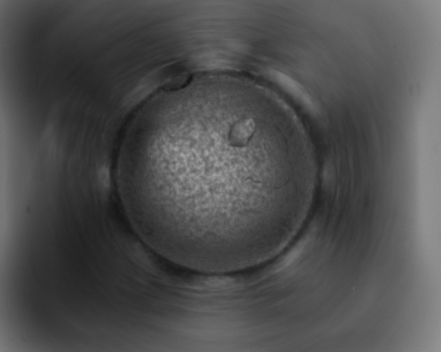 X0000093171209200710031458