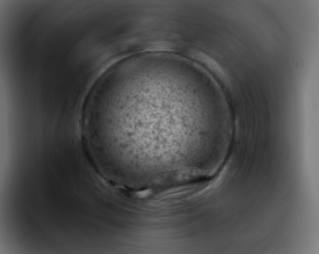 X0000093171212200710031458