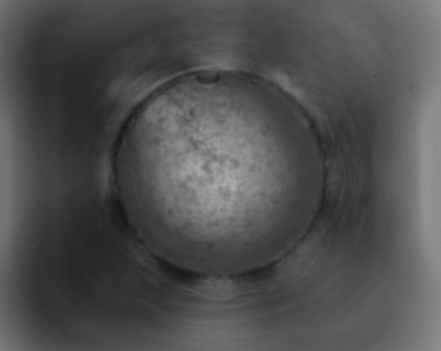 X0000093171215200710031458