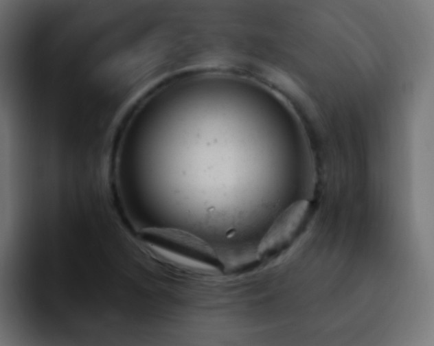 X0000093171216200710031458