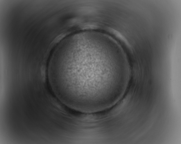 X0000093171217200710031458