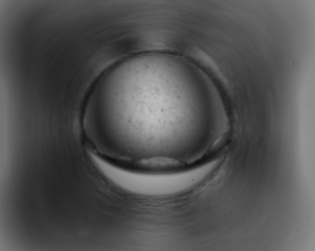 X0000093171218200710031458