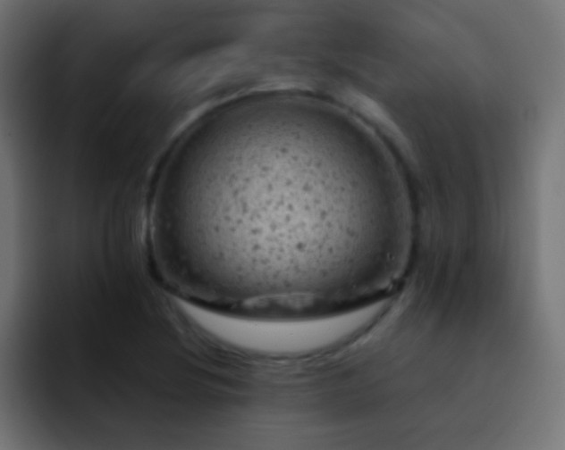 X0000093171220200710031458