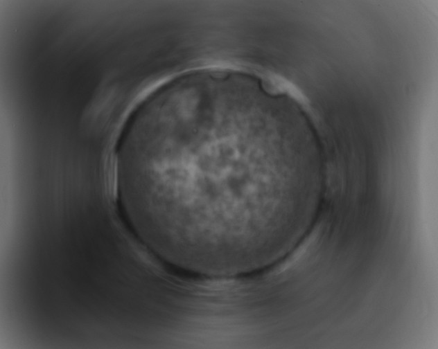 X0000093171223200710031458