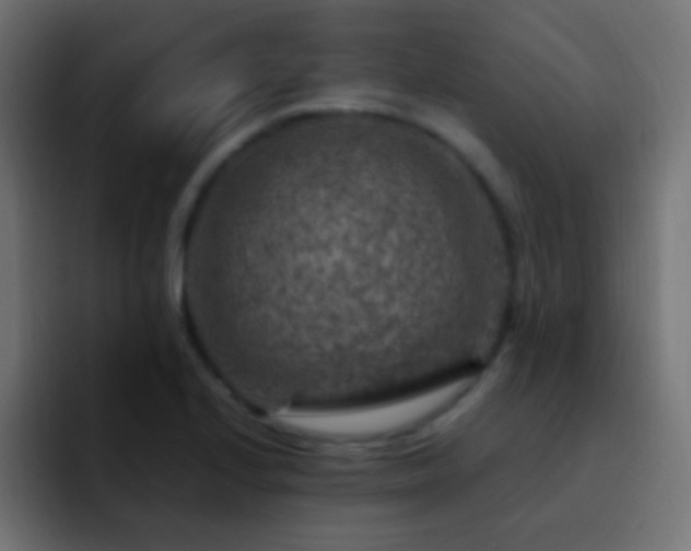 X0000093171224200710031458