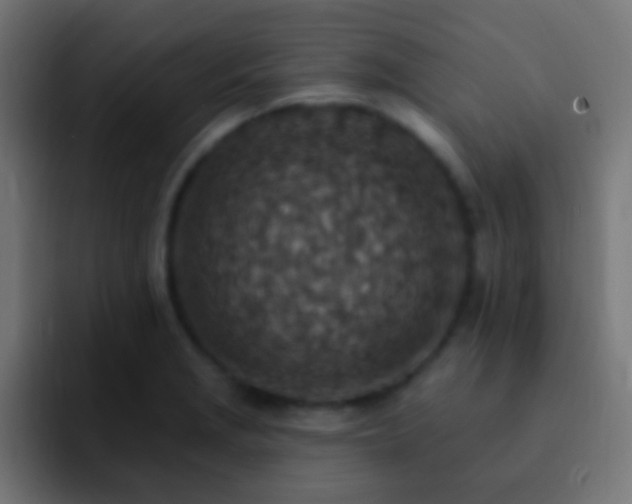 X0000093171229200710031458