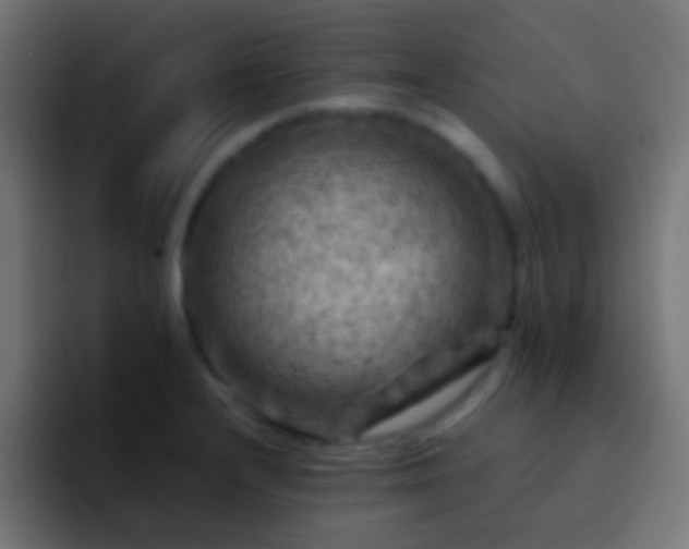 X0000093171232200710031458