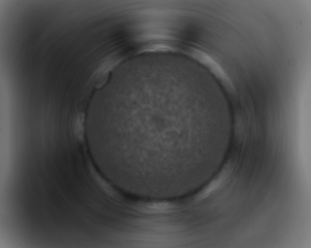 X0000093171233200710031458