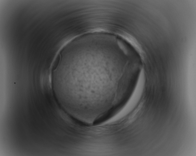 X0000093171234200710031458