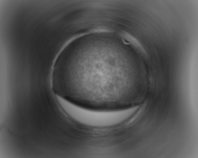 X0000093171236200710031458
