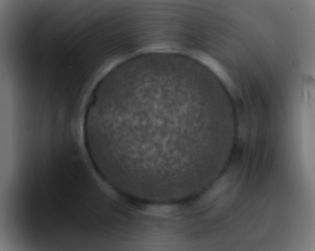 X0000093171237200710031458