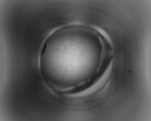 X0000093171238200710031458