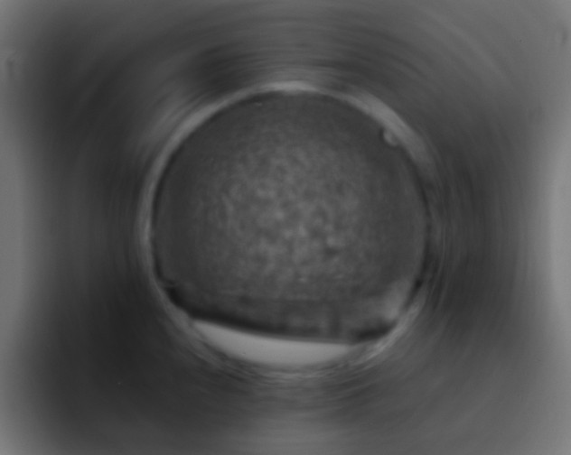 X0000093171240200710031458