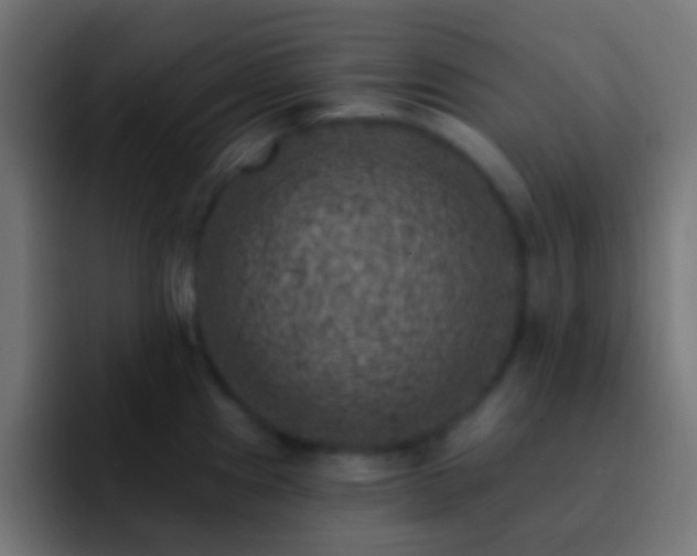 X0000093171241200710031458