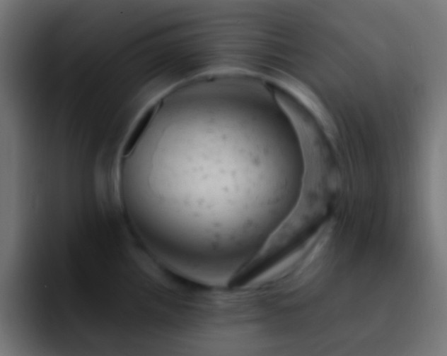 X0000093171242200710031458