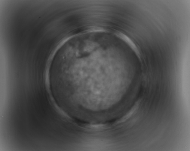 X0000093171243200710031458