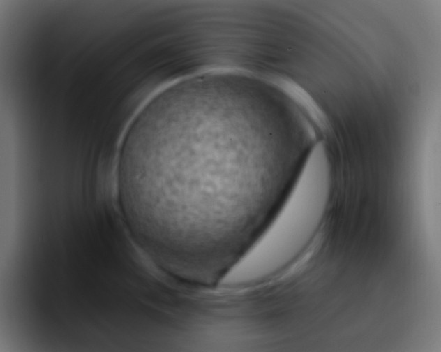 X0000093171244200710031458