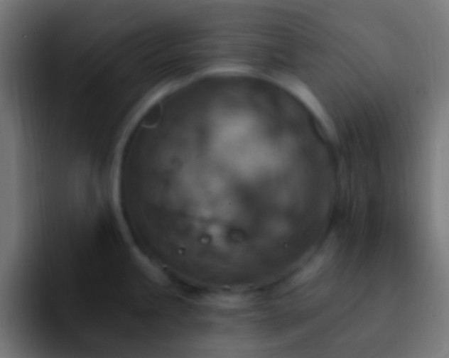 X0000093171245200710031458