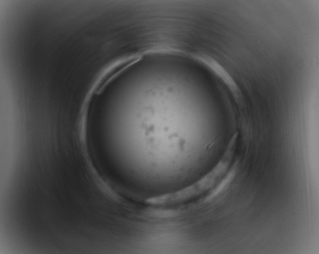 X0000093171246200710031458