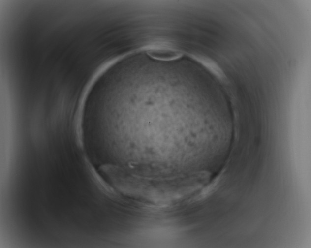X0000093171248200710031458