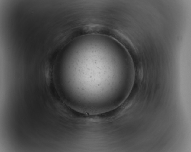 X0000093171250200710031457