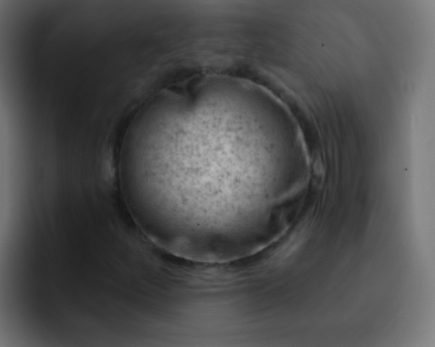 X0000093171252200710031457