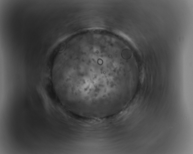 X0000093171255200710031457