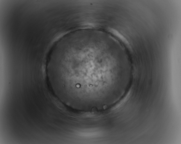 X0000093171259200710031457