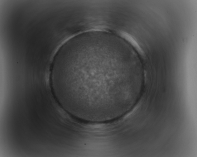 X0000093171260200710031457