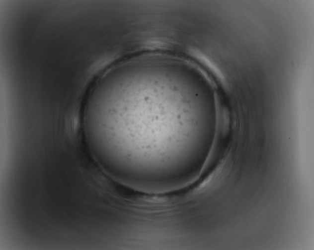 X0000093171261200710031457