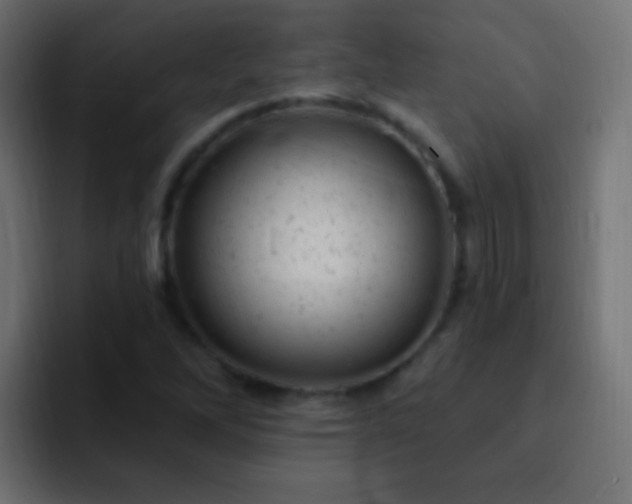X0000093171262200710031457