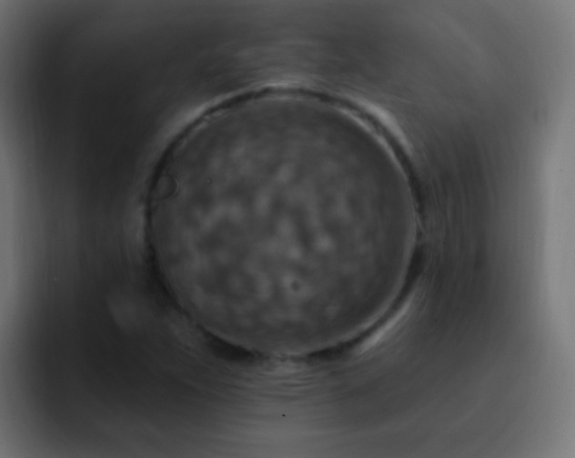 X0000093171263200710031457