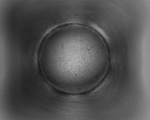 X0000093171264200710031457