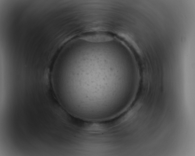 X0000093171265200710031457