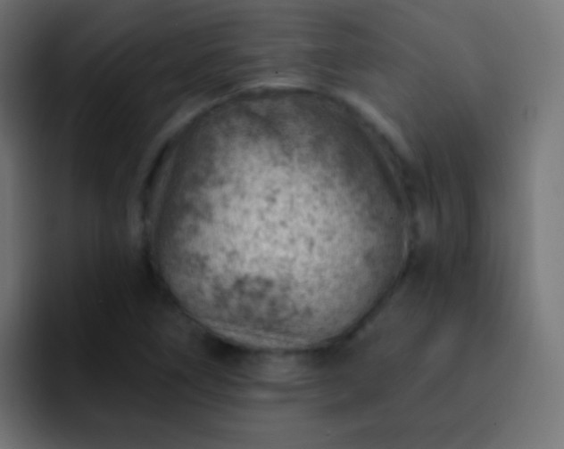 X0000093171266200710031457