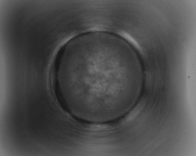 X0000093171269200710031457