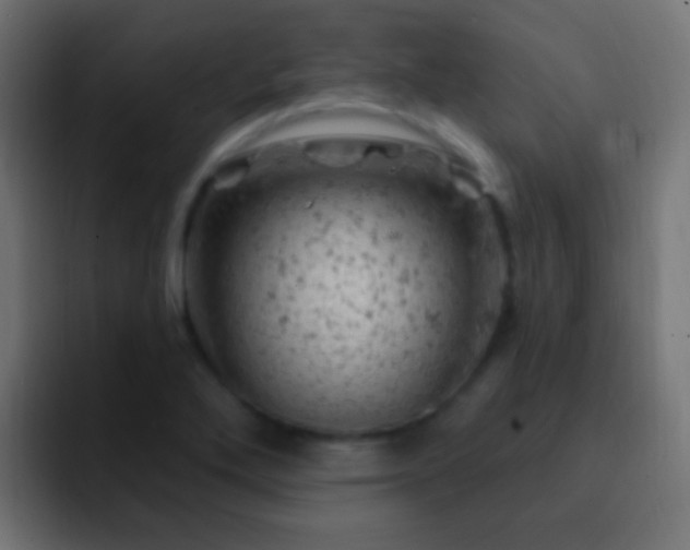 X0000093171272200710031457
