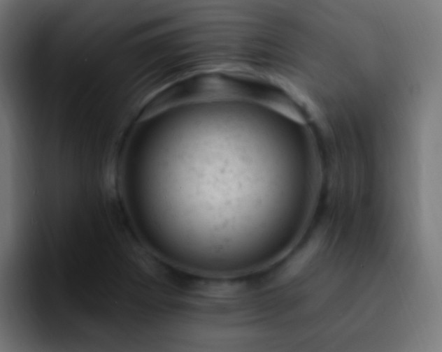 X0000093171273200710031457